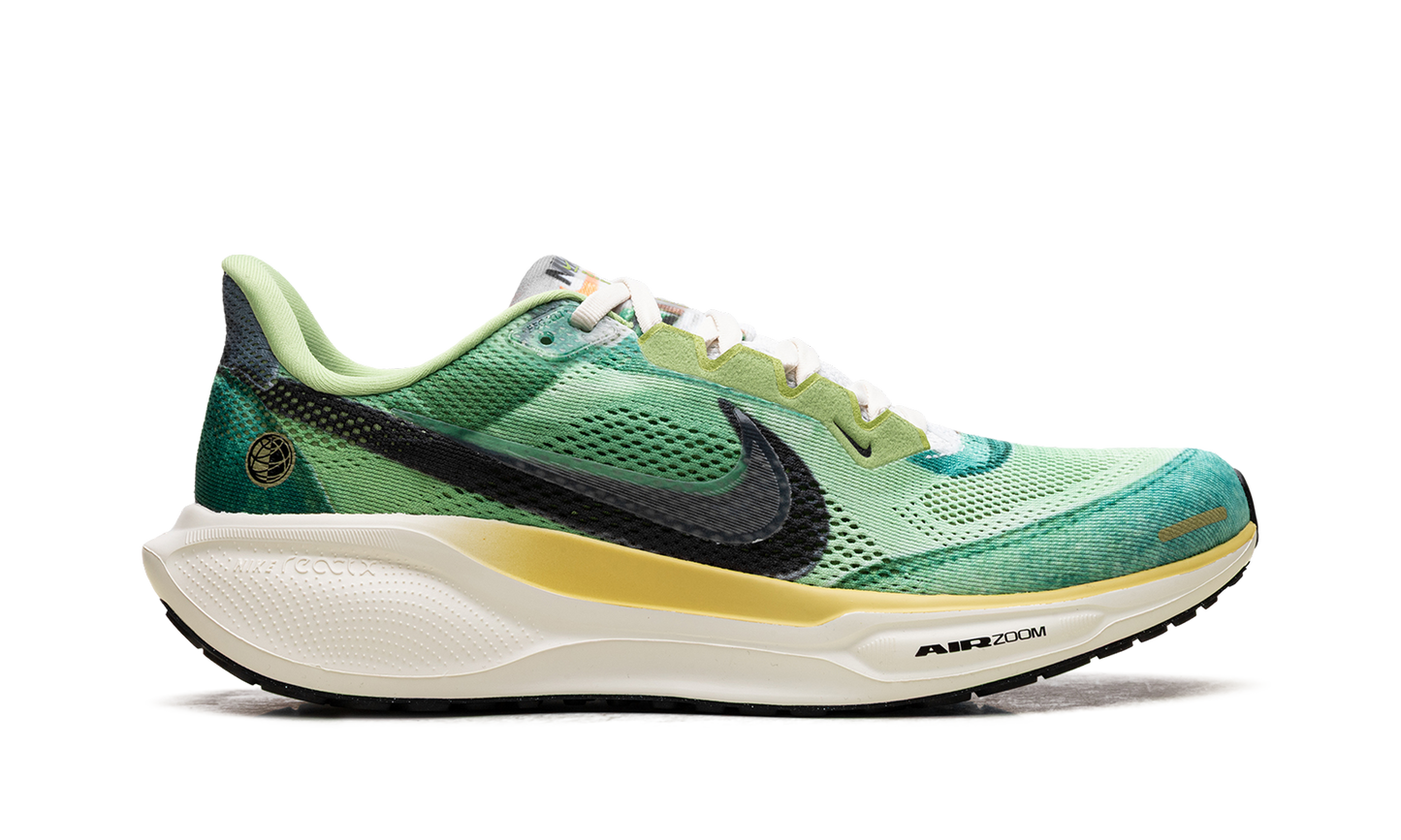 Air Zoom Pegasus 41 "Waffle Racer" IH3583 999