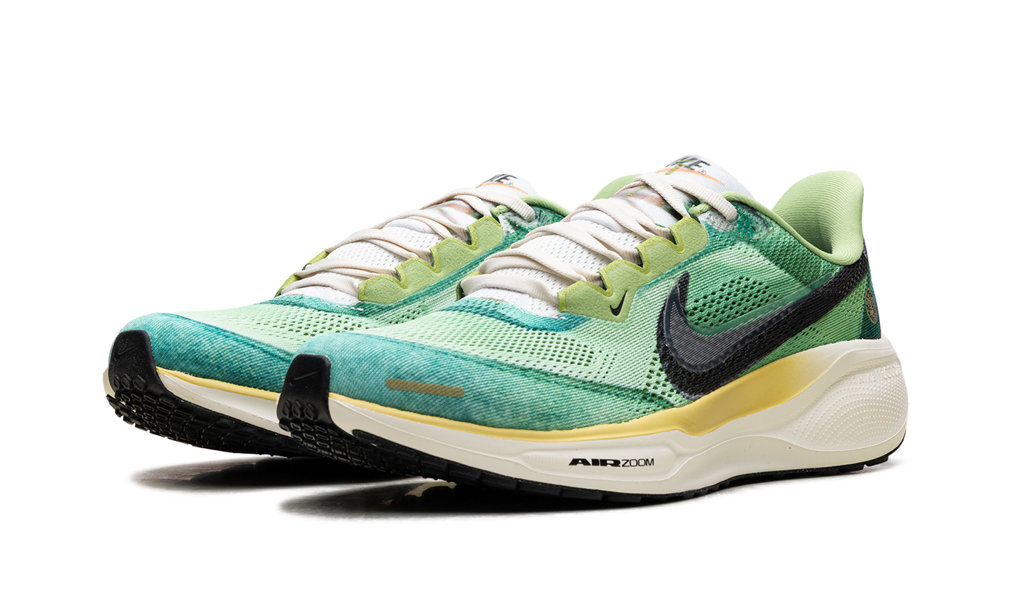 Air Zoom Pegasus 41 "Waffle Racer" IH3583 999
